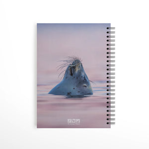 So relaxed - Notebook