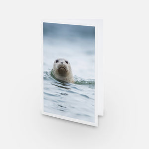 Ensemble de cartes de souhaits (15) - Mixte