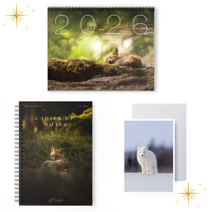 Customizable gift set - Office (notebook + calendar + card)