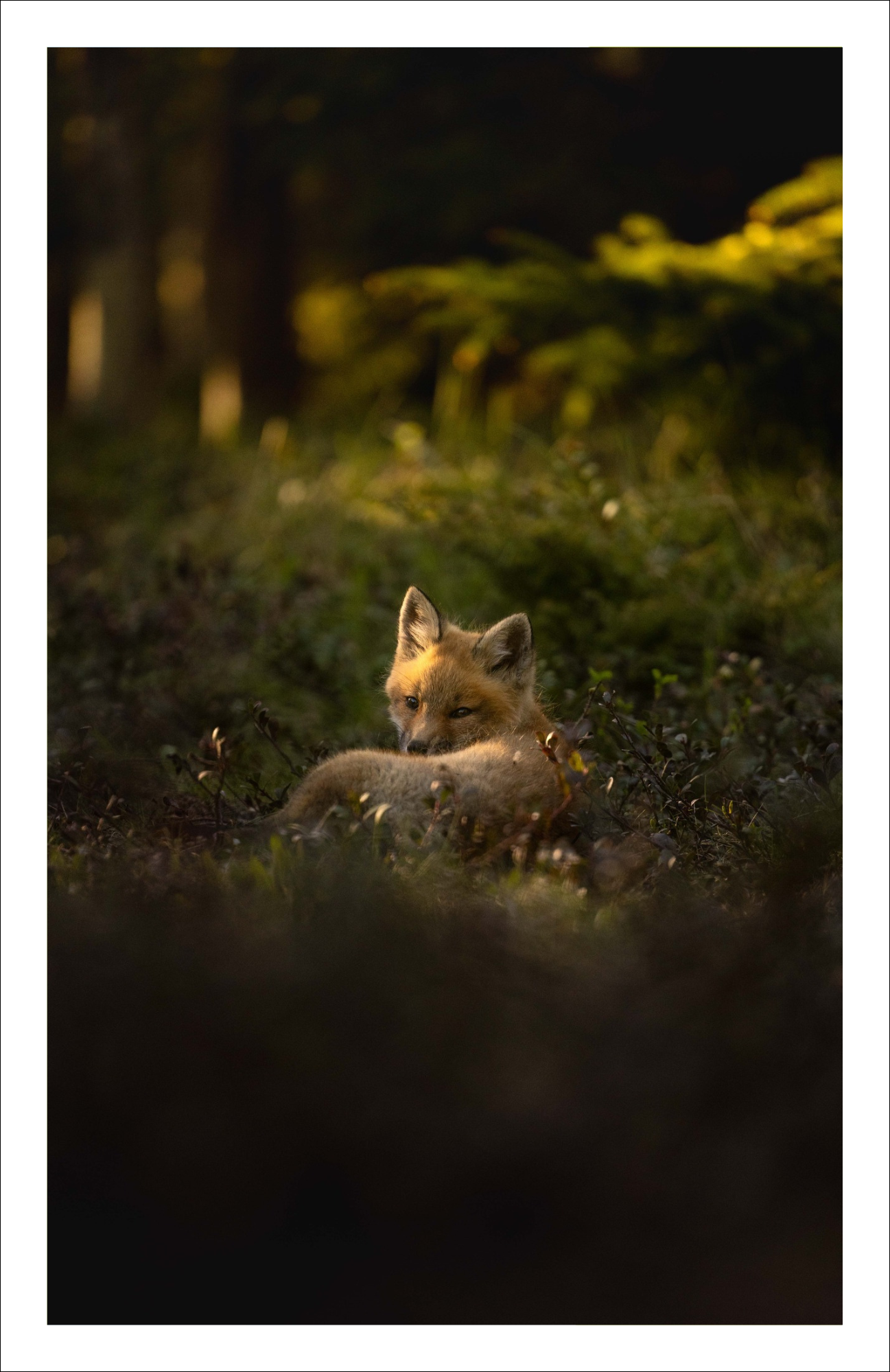 Ray of light - Greeting card