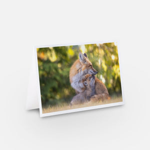 Ensemble de cartes de souhaits (5) - Renards