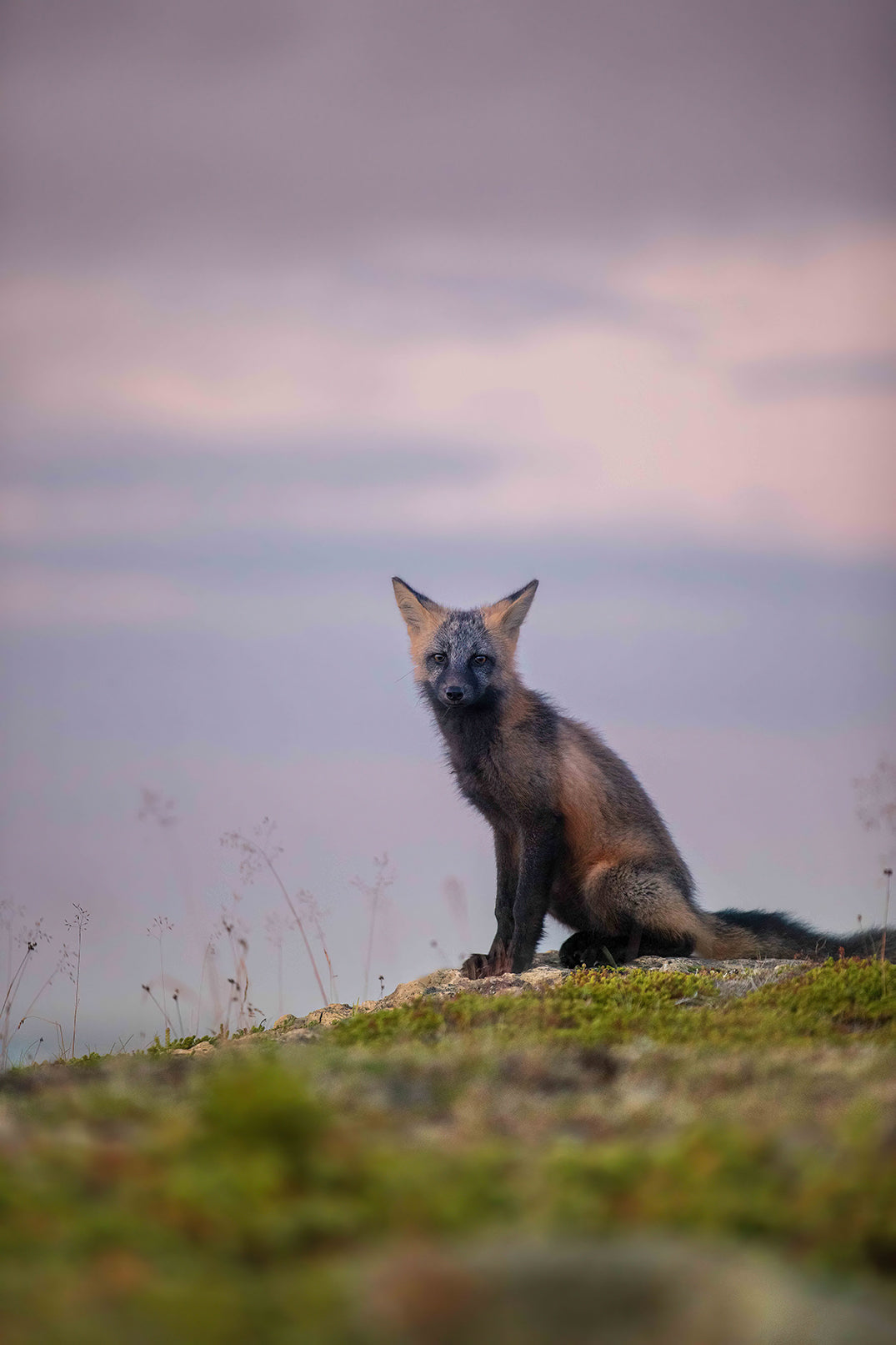 Rencontre de fin de journée