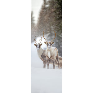 Bookmark - Caribous