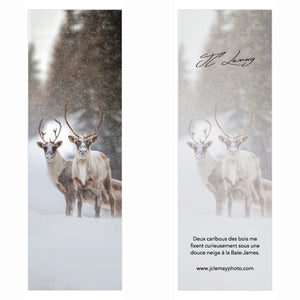 Bookmark - Caribous