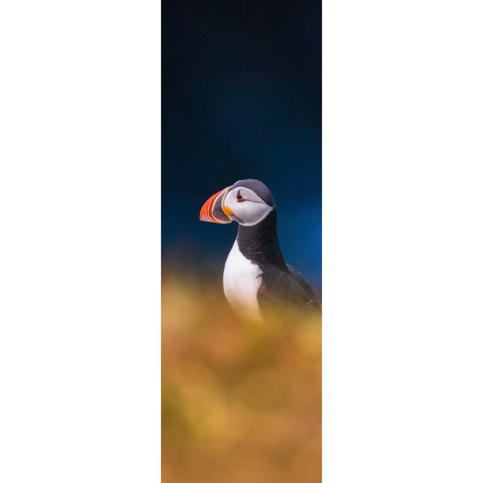 Bookmark - Puffin