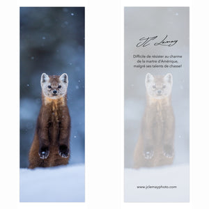 Bookmark - Pine Marten 2