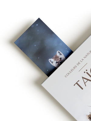 Bookmark - Pine Marten 2