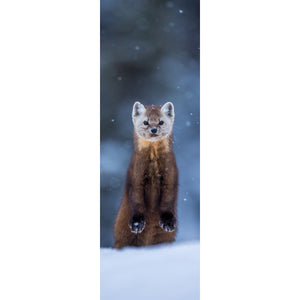 Bookmark - Pine Marten 2