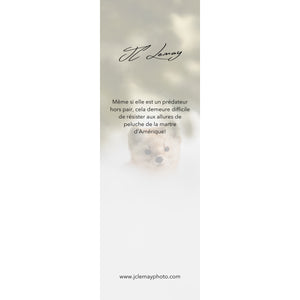 Bookmark - Pine Marten 1