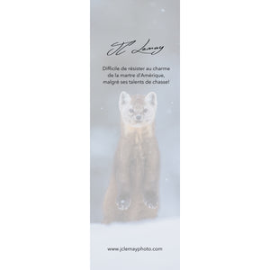 Bookmark - Pine Marten 2