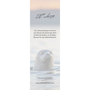 Bookmark - Harbour seal