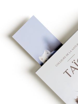 Bookmark - Arctic fox