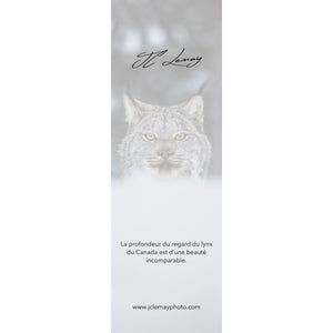 Bookmark - Canada Lynx