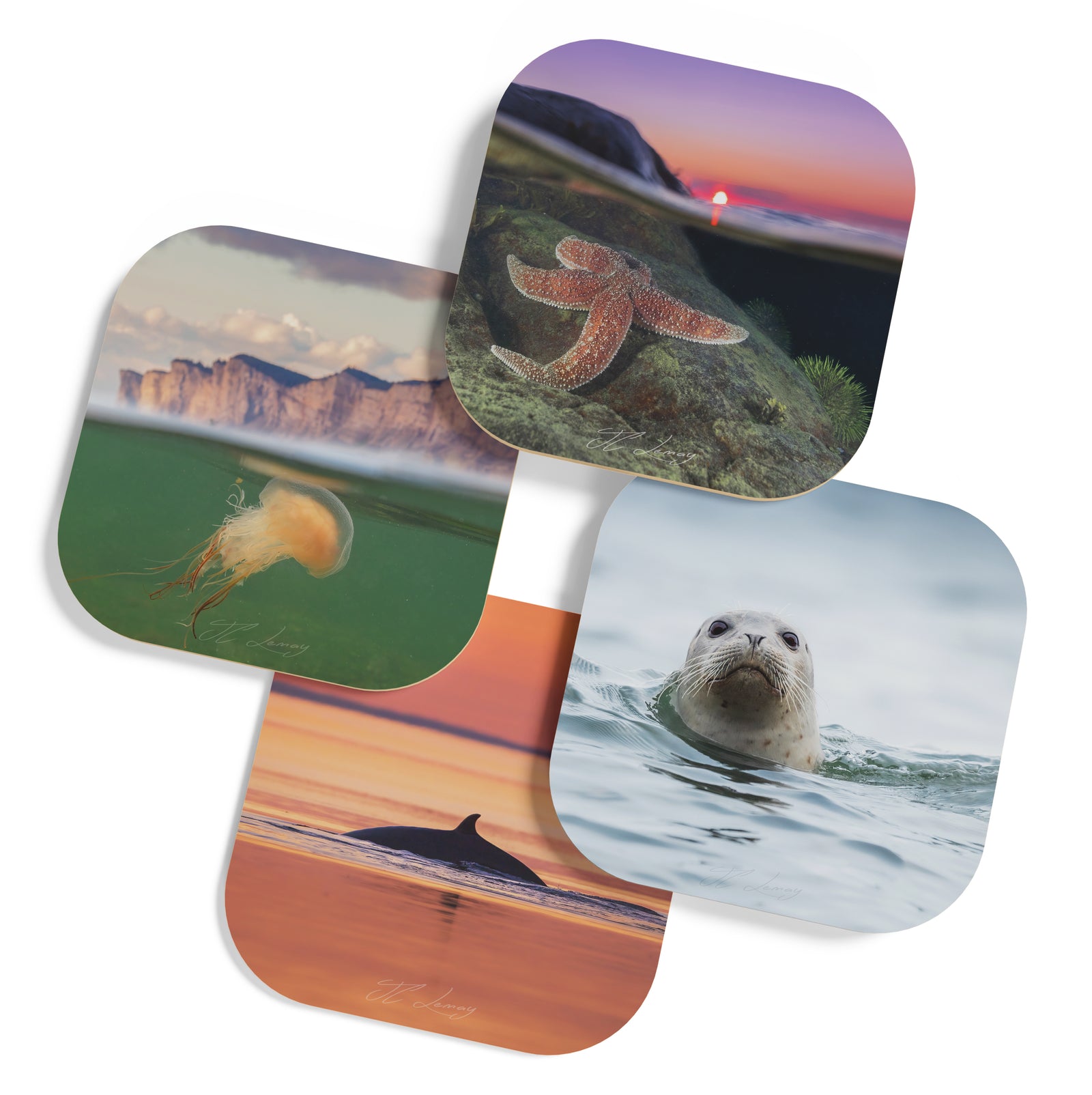 Ensemble de sous-verres (4) - Saint-Laurent