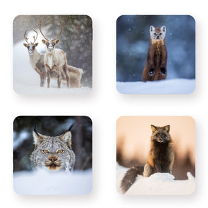 Coasters (set of 4) - Taïga