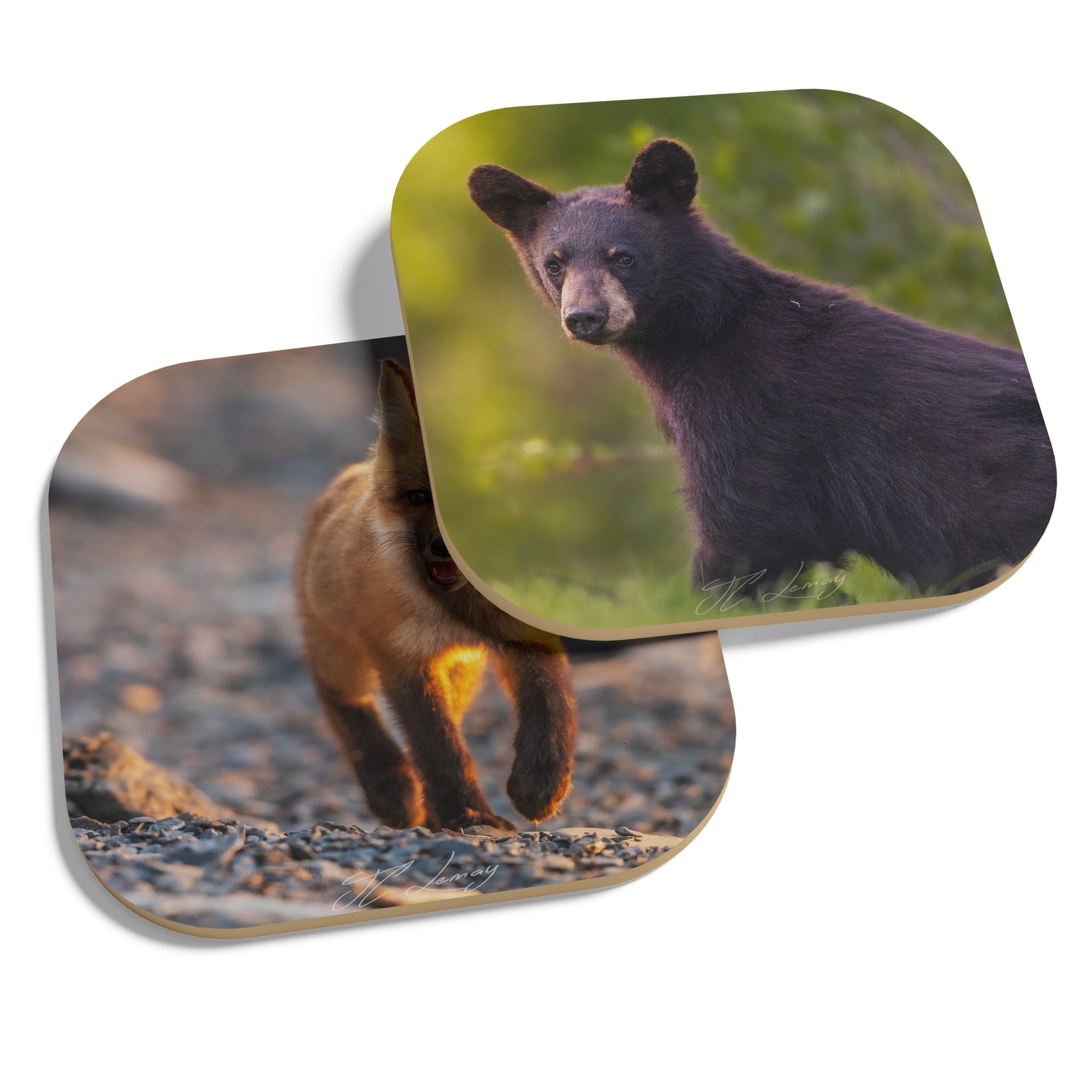 Ensemble de sous-verres (4) - 'Ptits zanimaux