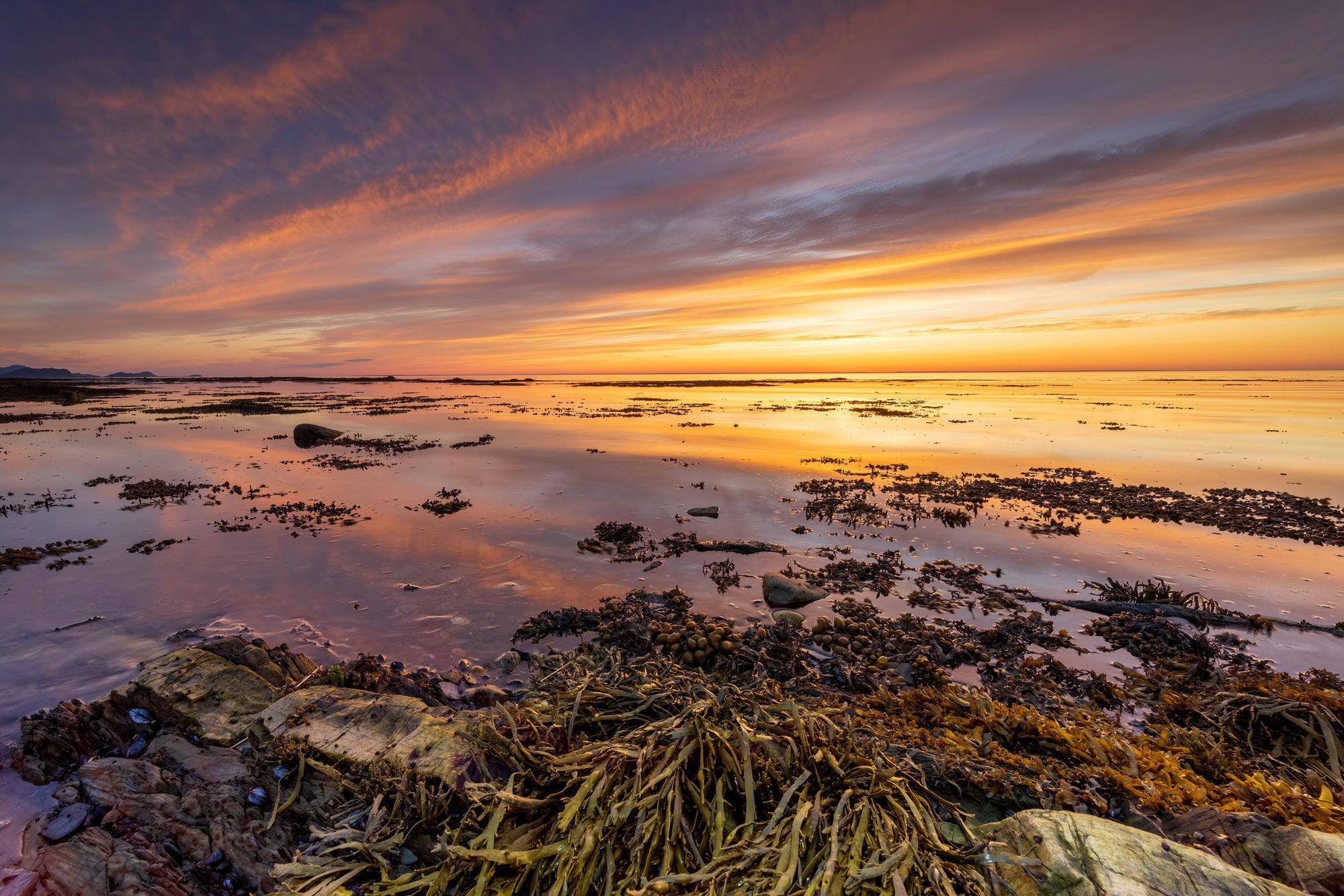 Rimouski sunset