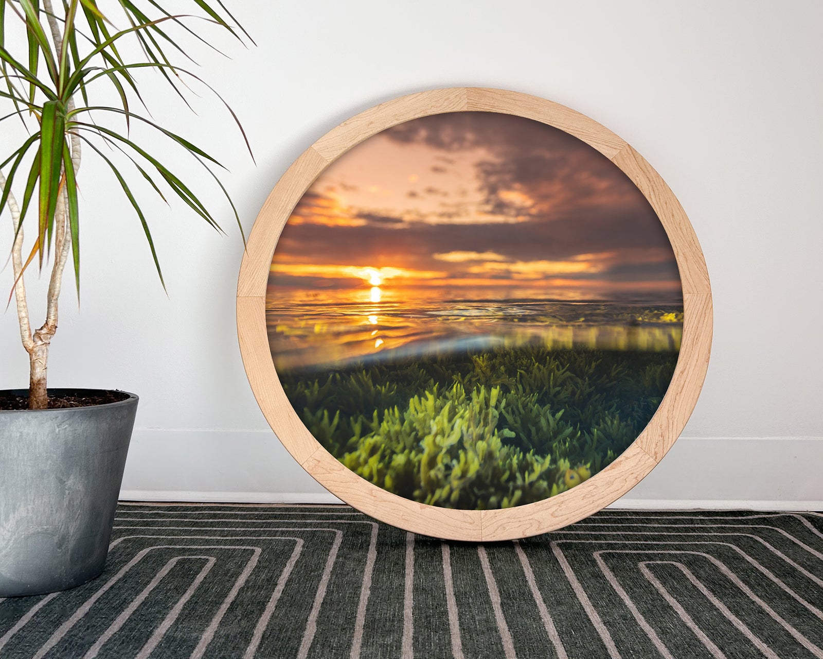 Sunset et algues - cadre rond en bois massif (24 pouces)
