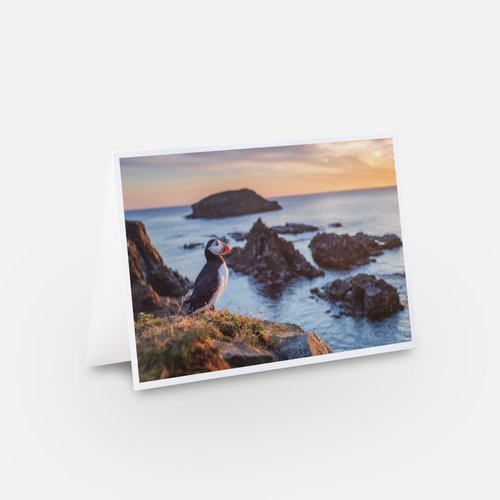 The view - Greeting card