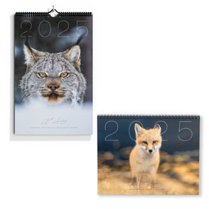 Calendars 2024 combo - limited + classic