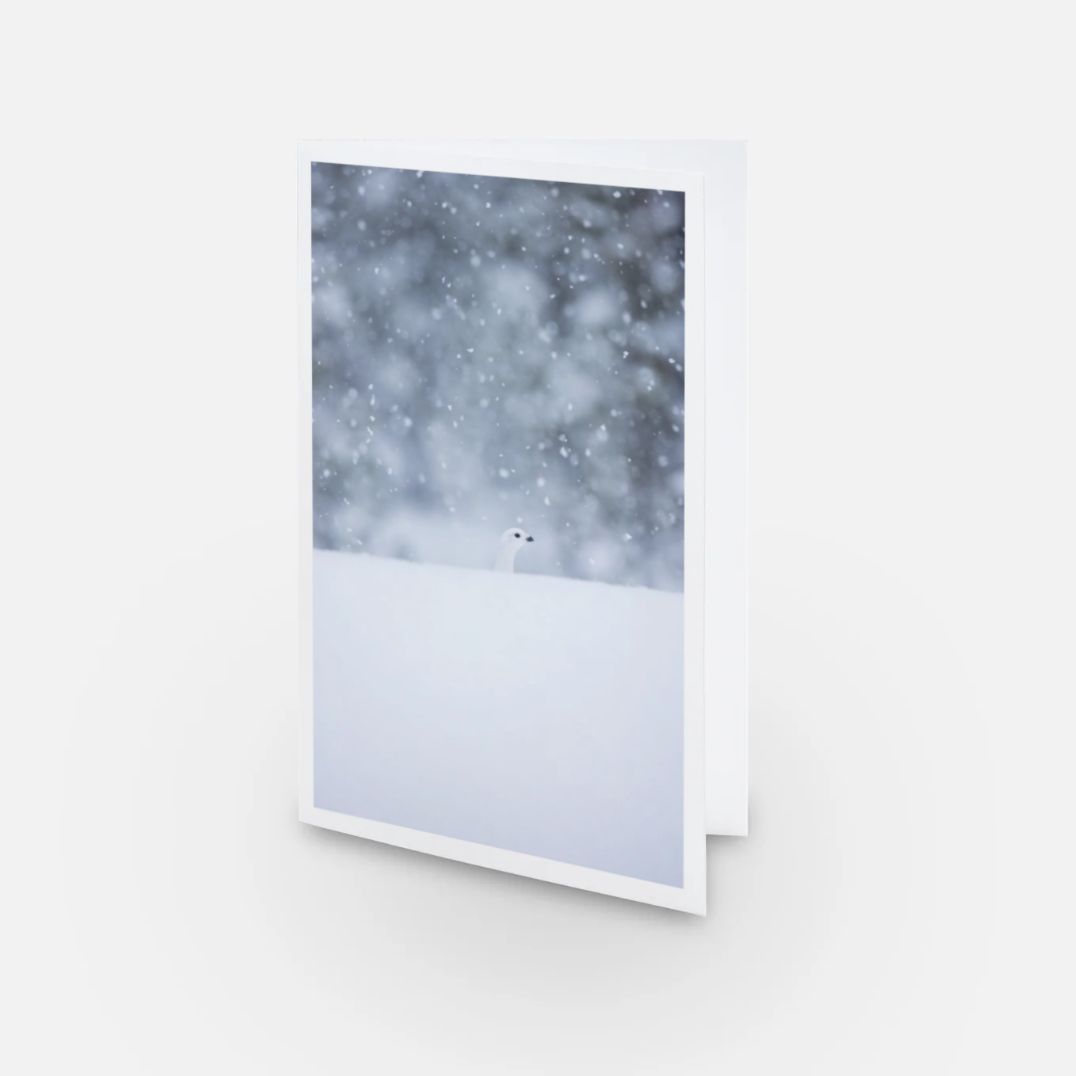 Ensemble de cartes de souhaits (5) - Hiver
