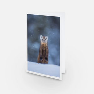 Ensemble de cartes de souhaits (5) - Hiver