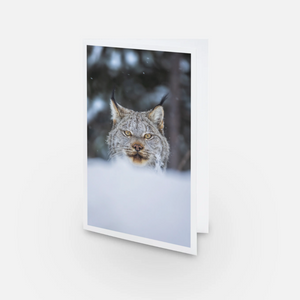 Feather mustache - Greeting card