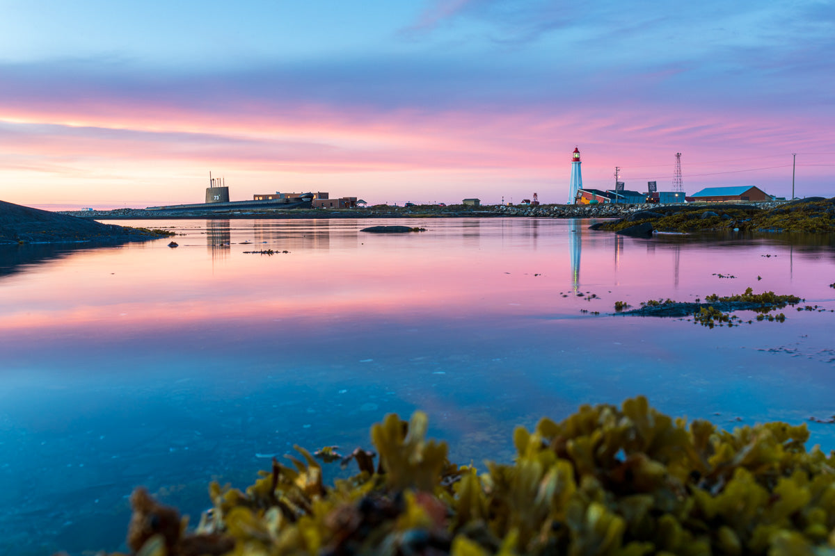 Pink reflections