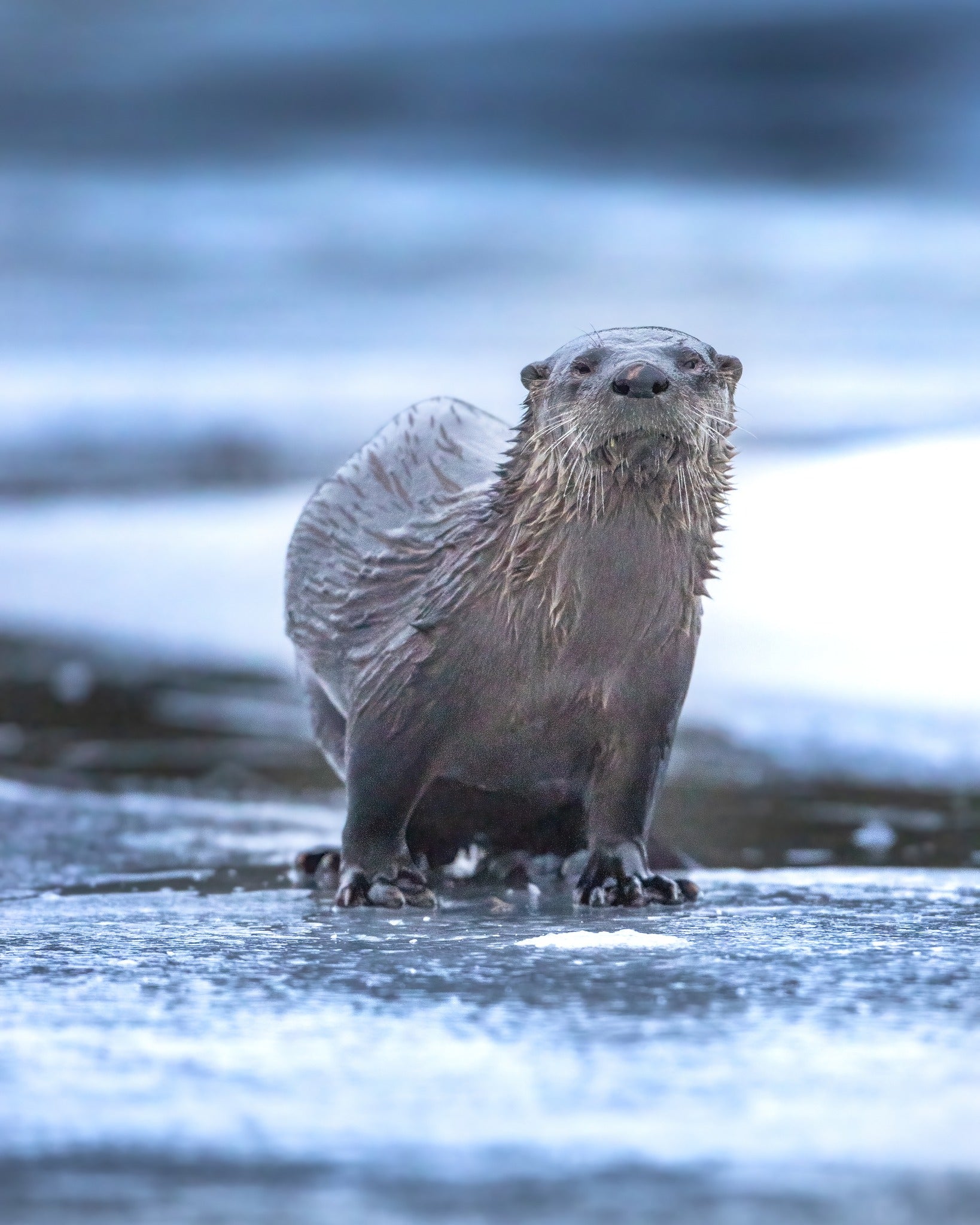 On the ice