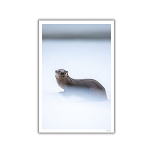 River otter