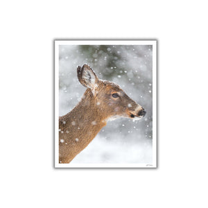 Snowy profile