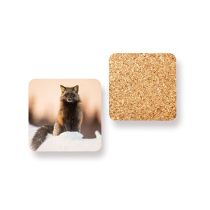 Coasters (set of 4) - Taïga