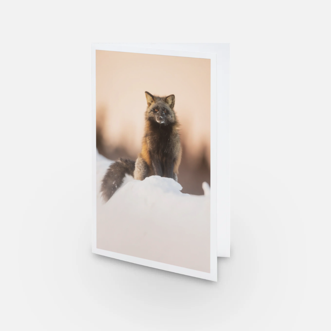 Crossed fox - Greeting card