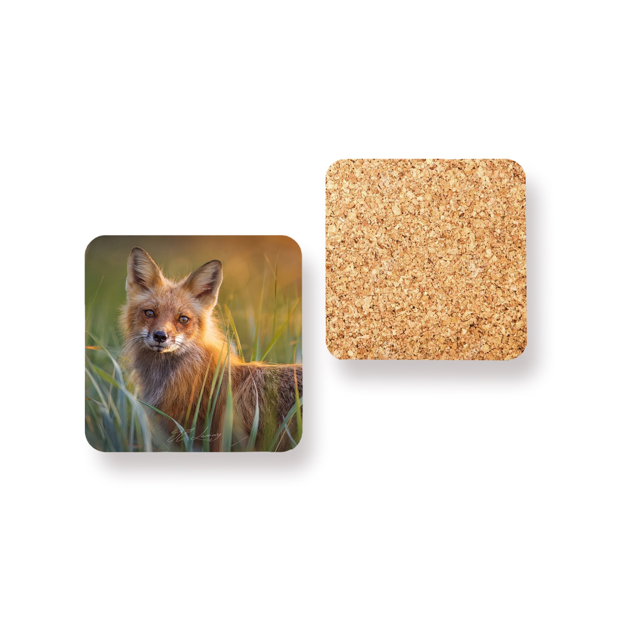 Coasters (set of 4) - Red foxes