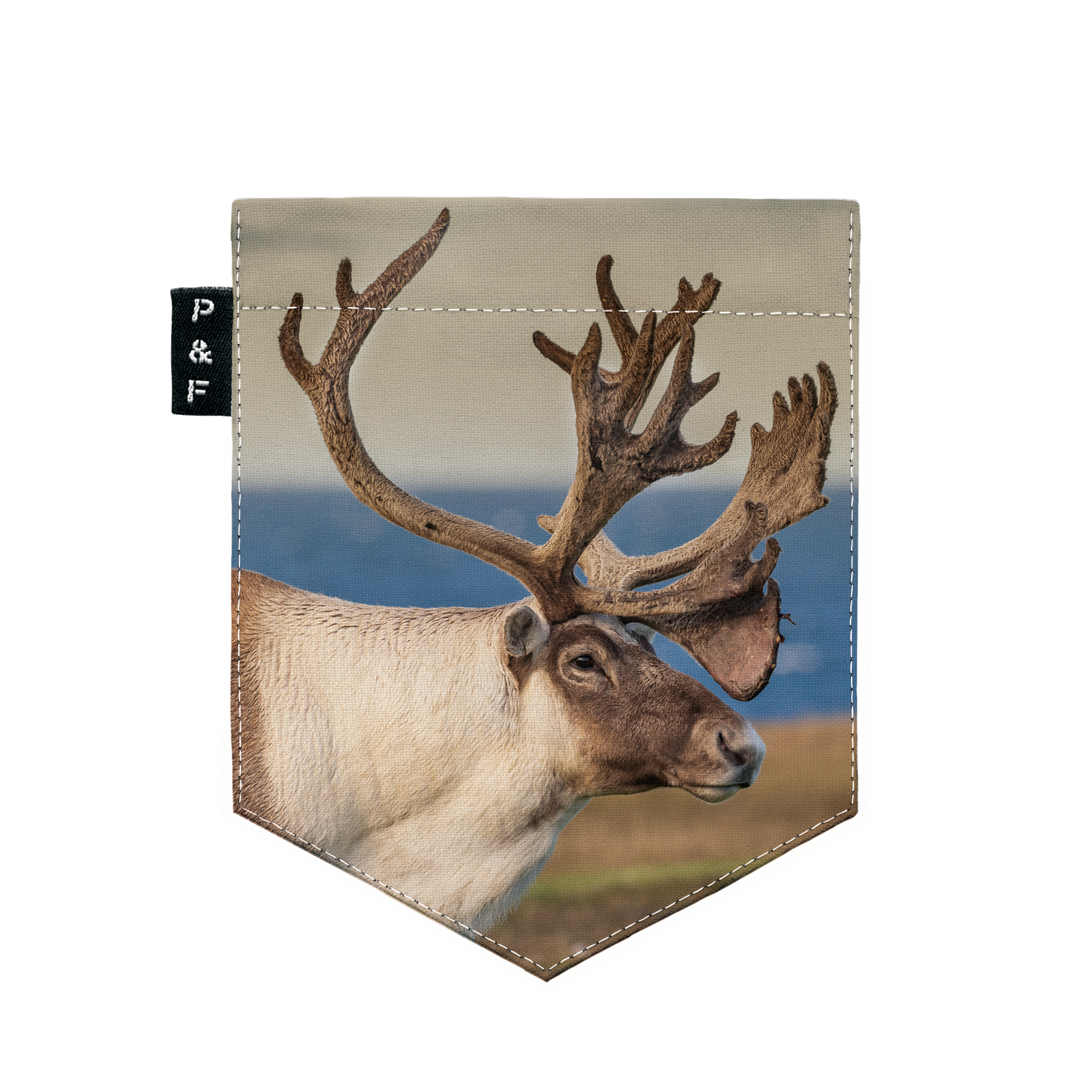 T-shirt (8-12 years) - Trente sous