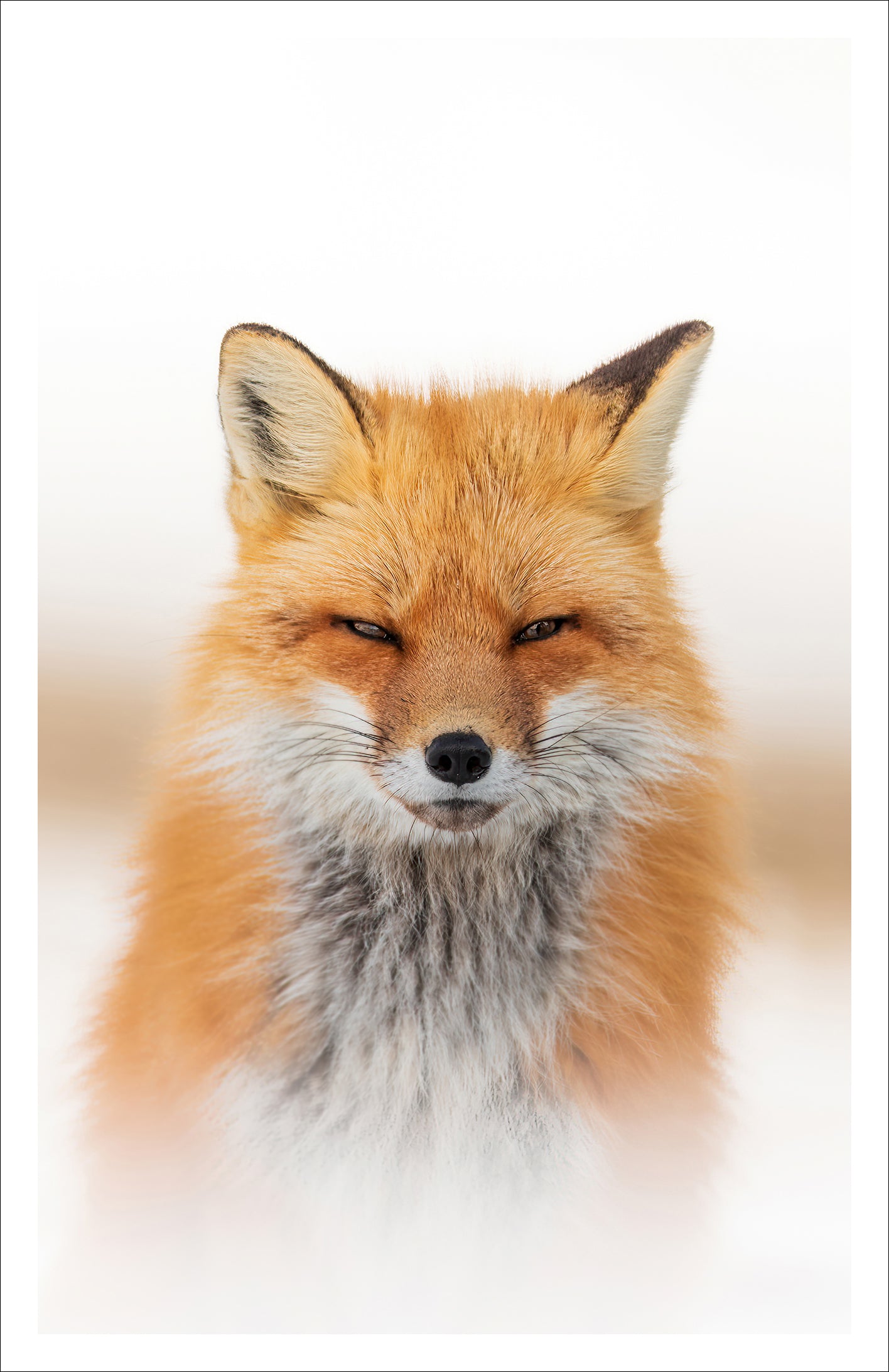 Bienveillance - Greeting Card