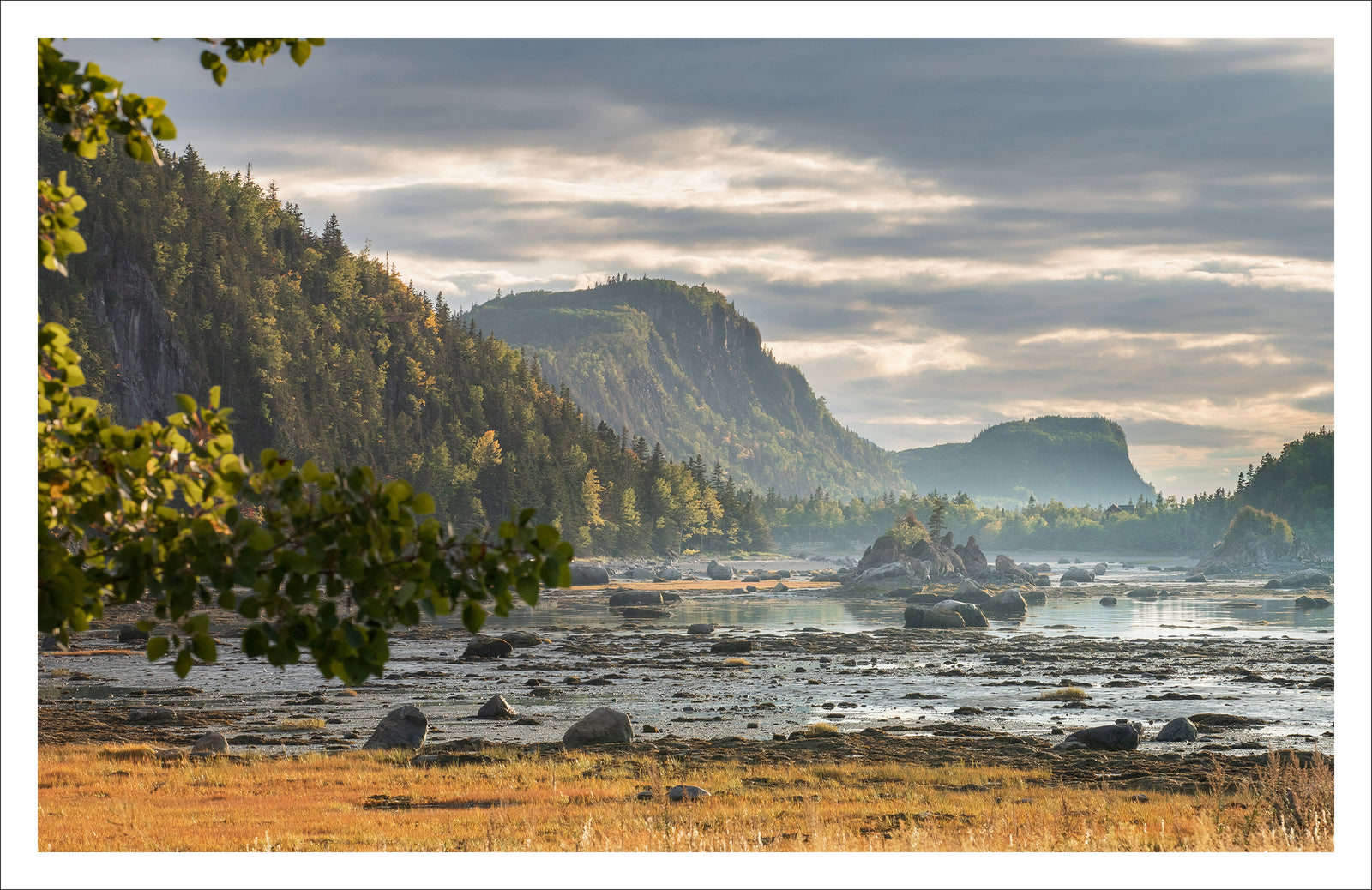 Pointe-aux-Épinettes - Greeting card