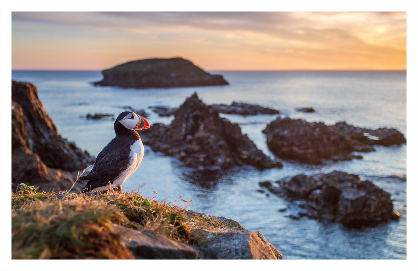 The view - Greeting card