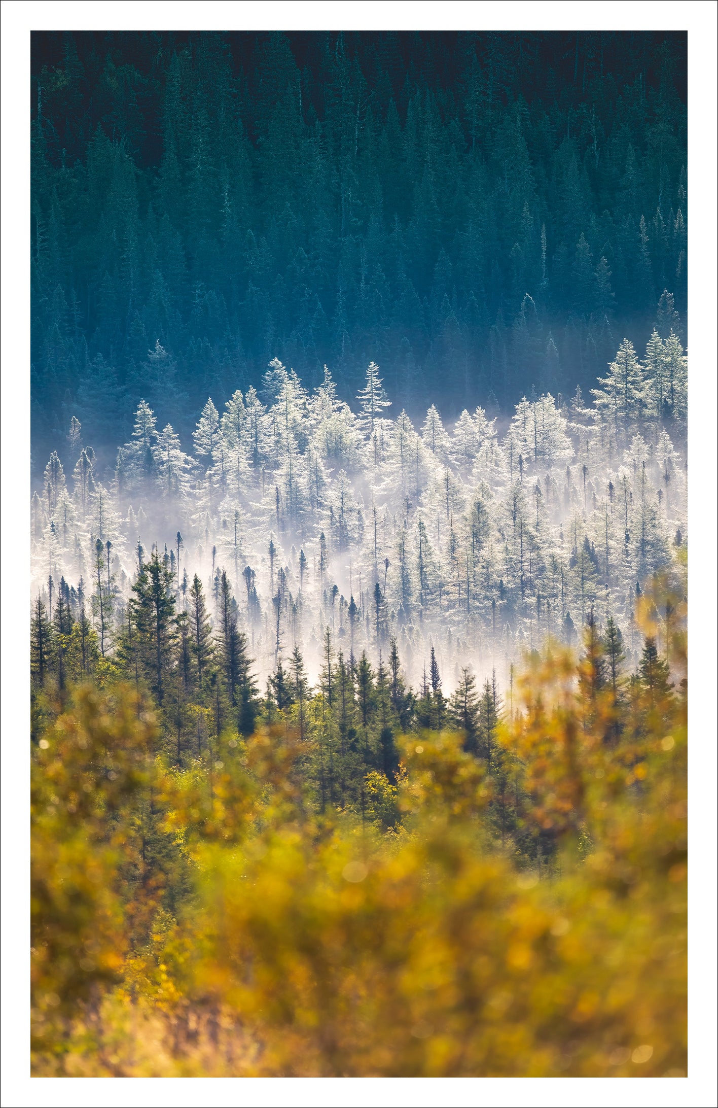 Saisons - Greeting card