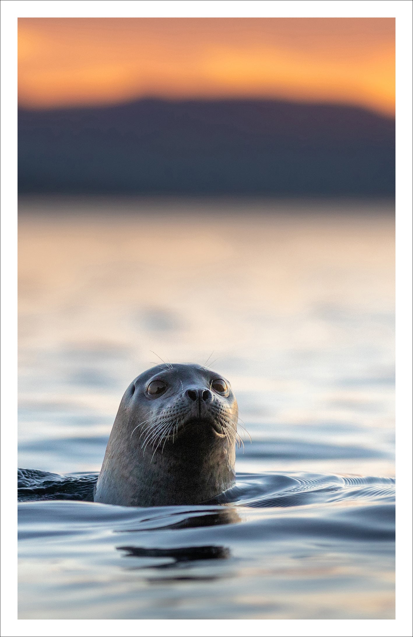 Périscope - Greeting card