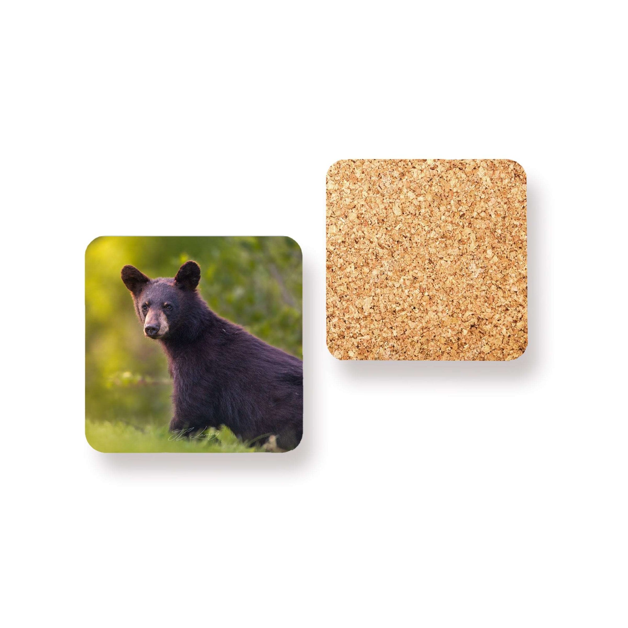 Coasters (set of 4) - Young animals