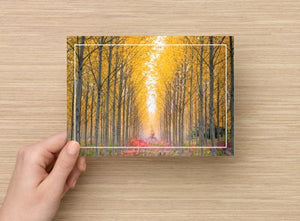 Couleurs d'automne - Postcard