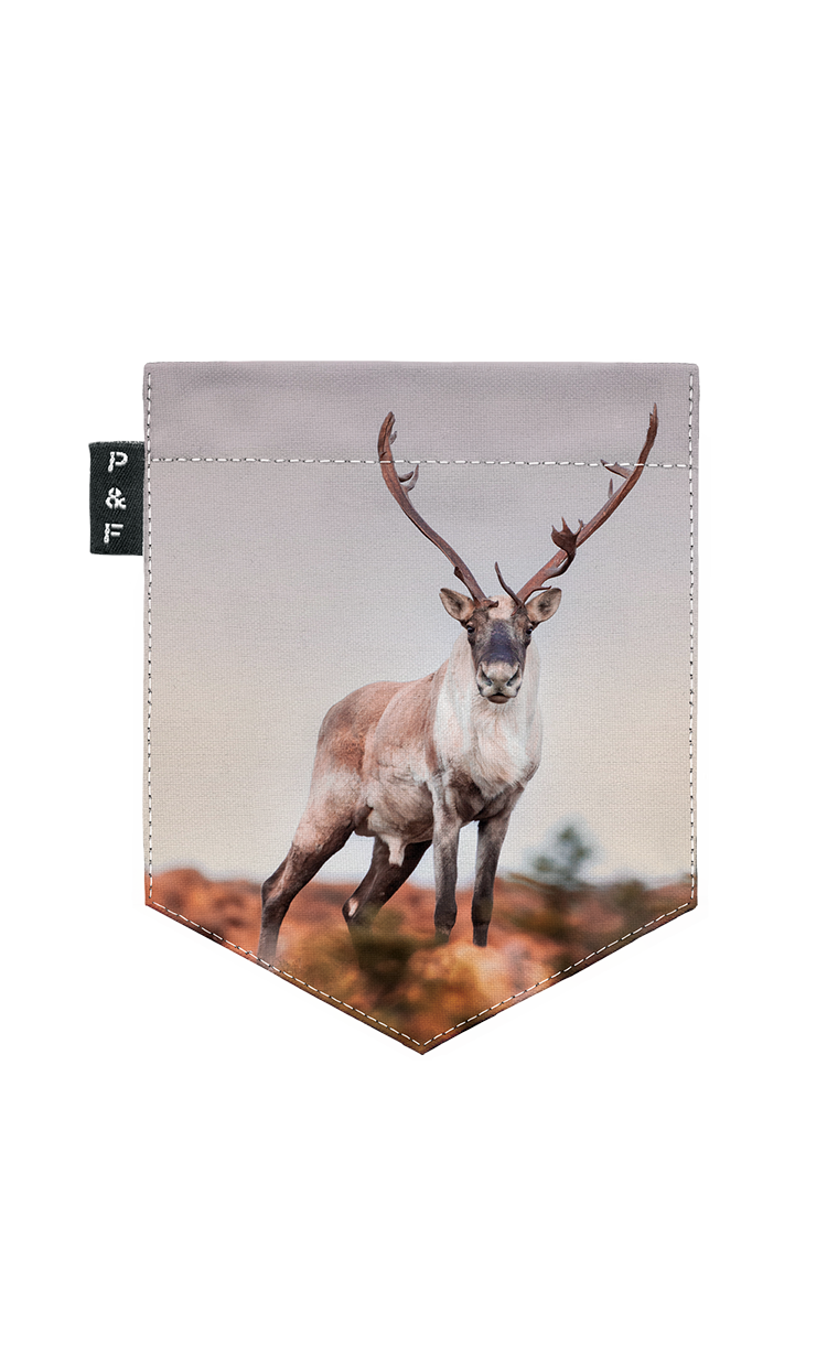 T-shirt (8-12 years) - Vintsinçenne