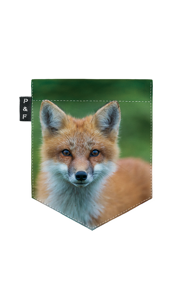 T-shirt (8-12 years) - Rouzé comme un renard