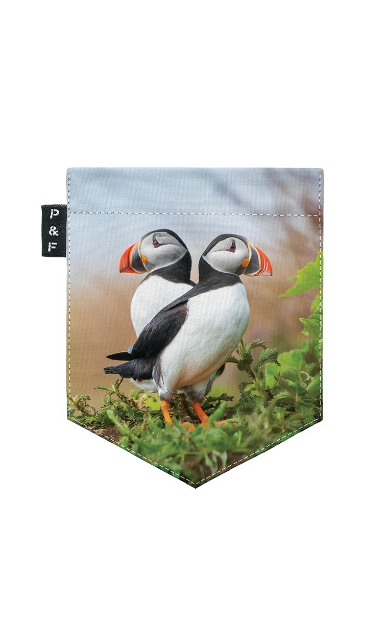 T-shirt (2-6 years) - Hey Macareux-na