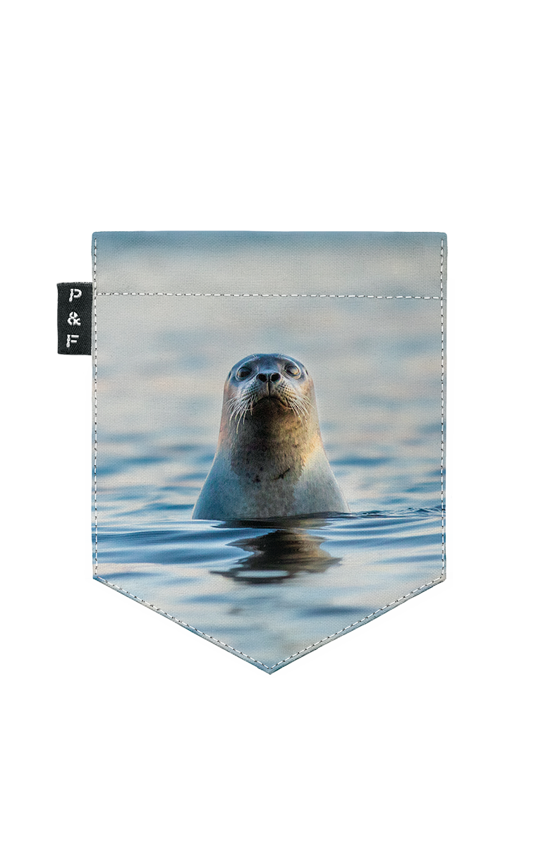 T-shirt (8-12 years) - Phoquaccia