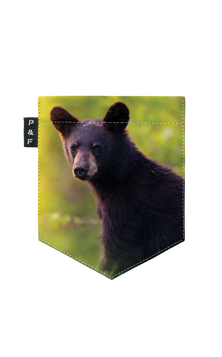 T-shirt (2-6 years) - La moyenne ours