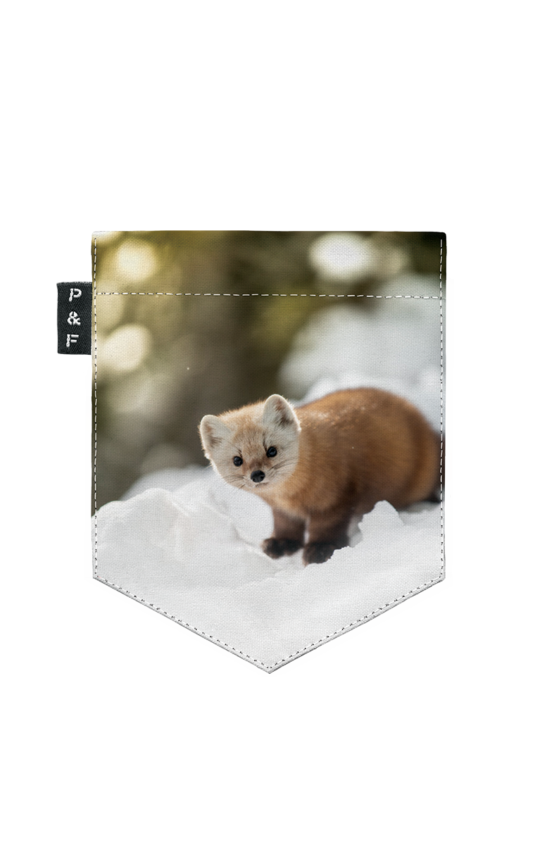 Semi-adjusted V-neck T-shirt - Martre Labrèche