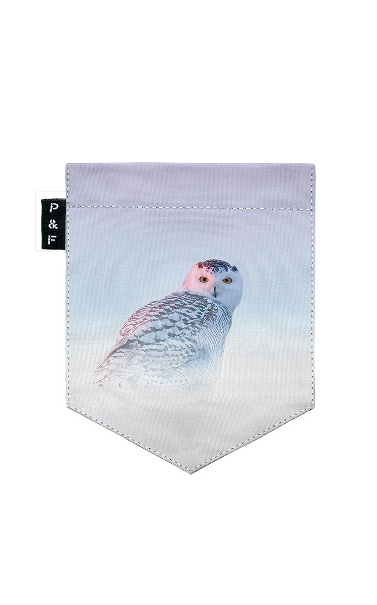 T-shirt (8-12 years) - Craque tanuk