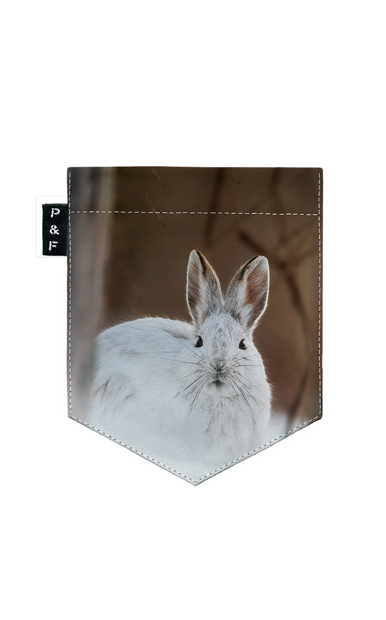 T-shirt (8-12 years) - Lièvre Gercé